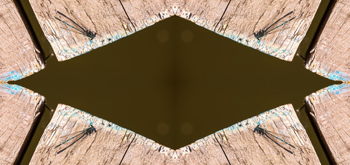 Kaleidoscopic pattern of small blue dragonfly with transparent wings on wooden bred near river