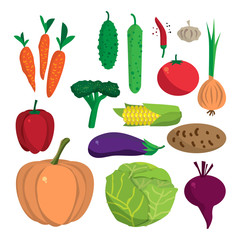Farm vegetables flat vector cartoon set. Organic healthy food sy