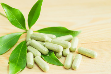 Schefflera leucantha green herbal powder in the capsule, safe medicine concept.