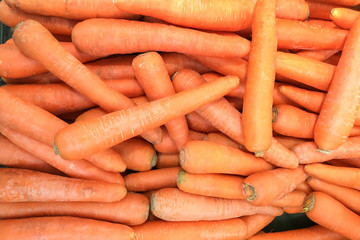 Fresh carrots background
