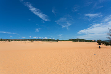 Fototapeta na wymiar red sand dune desert in Mui Ne, Vietnam