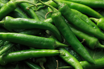 ゴマの葉と青唐辛子 