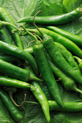 ゴマの葉と青唐辛子 