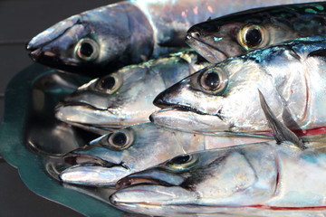 Maquereaux sur plat en étain