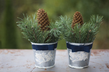 Jesienna dekoracja © alicjakoll