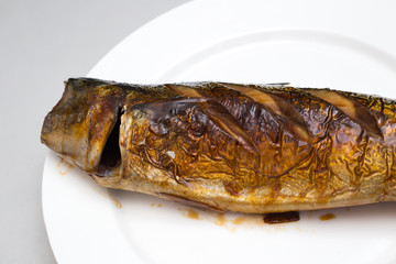 close up Saba fish grill