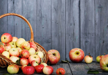basket with apples