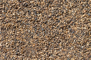 River stone on ground