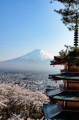 Chureito Pagoda, Mount Fuji, cherry blossom, Japan