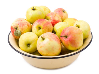 Apples garden isolated