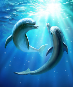 Dolphins