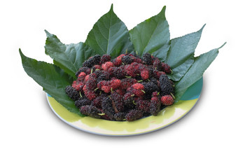 Fresh Mulberry on white background