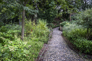 Vegetation in Jardin des Plantes garden public park in Toulouse