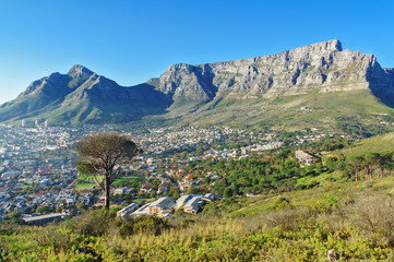 Beautiful view of Cape Town and Table Mountain, South Africa  