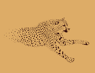 Fototapeta premium figure running Leopard on a beige background