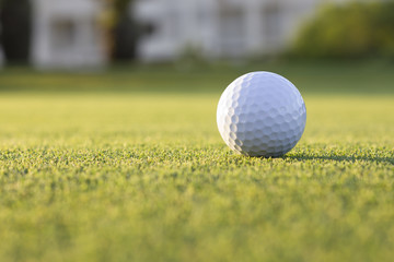 Closeup golf ball on the ground
