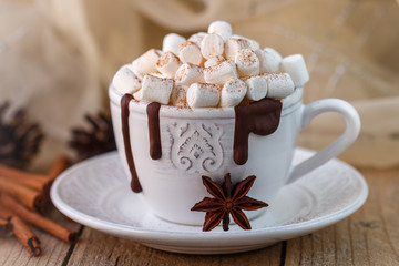 A Cup of hot chocolate with marshmallows and cinnamon