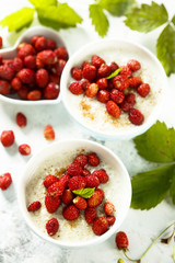 Rice pudding or Milchreis with wild strawberry