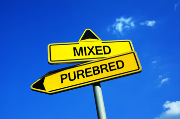 Mixed or Purebred - Traffic sign with two options - pure-blooded animal with known lineage vs crossbreeded pet. Cultivation and breeding vs crossbreeding and hybrid offspring