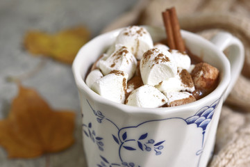 Cup of hot chocolate with mini marshmellows cinnamon.