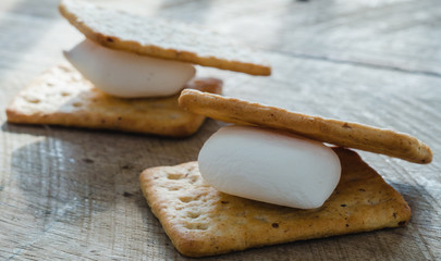 2 pieces of Marshmallows sandwiched by crackers