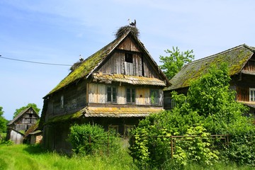 Fototapeta na wymiar Wooden house with white storks nests