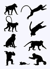 Fototapeta premium monkeys silhouette