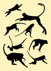 monkeys silhouette