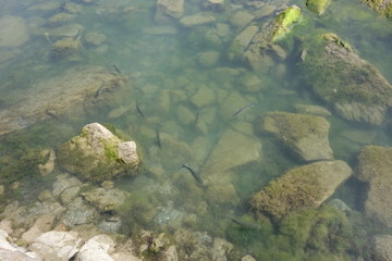 Cies islands,Vigo,Spain