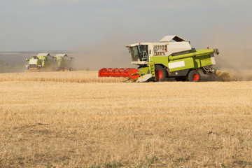 Combine working on a wheat field