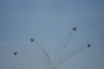 Стрижи в полете