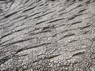dry crack ground texture