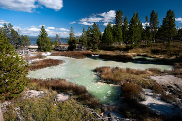 Hotsprings of Yellowstone NP, USA