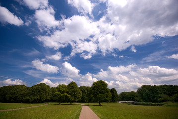 Blue cloudy sky above the Amsterdam Forest, Amsterdam, The Netherlands