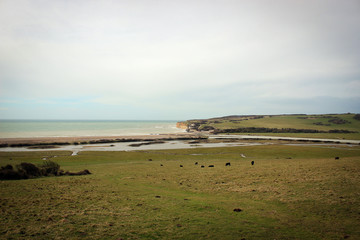 Seven Sisters national park, England