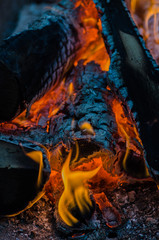 hot orange-yellow flame fire in the open air burning of coals of wood with a high temperature and bright colors