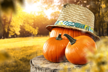 autumn photo of pumpkin 