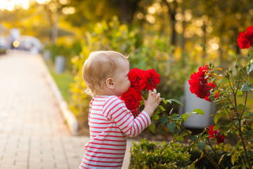 Little girl and flowers of roses