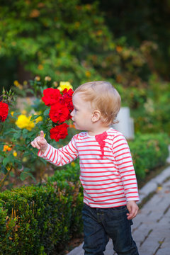 Little girl and flowers of roses