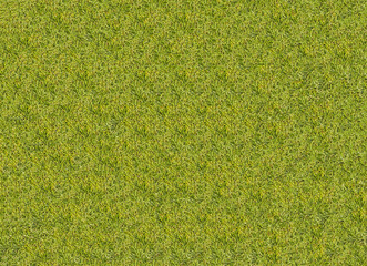 grass texture grass Golf Course for design pattern and backgroun