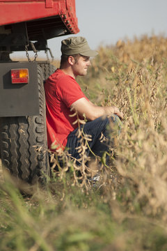 Farmer at soybean harvesting time