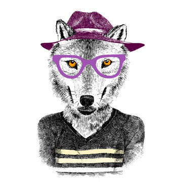 hand drawn wolf hipster