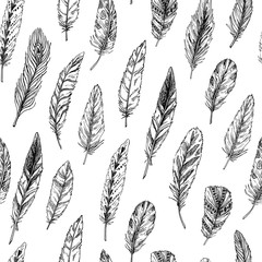 Hand drawn vector vintage illustration - Feathers. Ink and feather