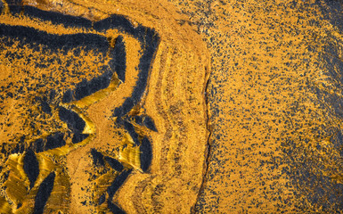 Surface of natural mineral stromatolite.