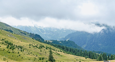 Fototapeta premium Transalpina road, Parang Mountains, pine forests, Carpathian Mountains