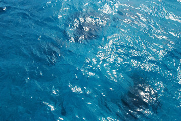 boundless sea surface, blue water