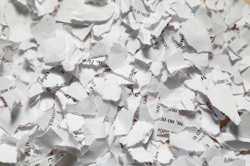Scraps of white paper with text