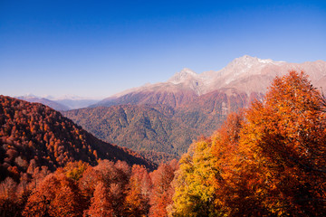 Naklejka premium Beautiful Caucasian mountains in autumn