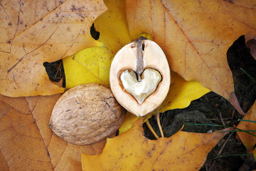 a walnut formed like a heart