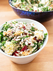 Quinoa kale salad with cranberries, apple, avocado, tofu and sunflower seeds